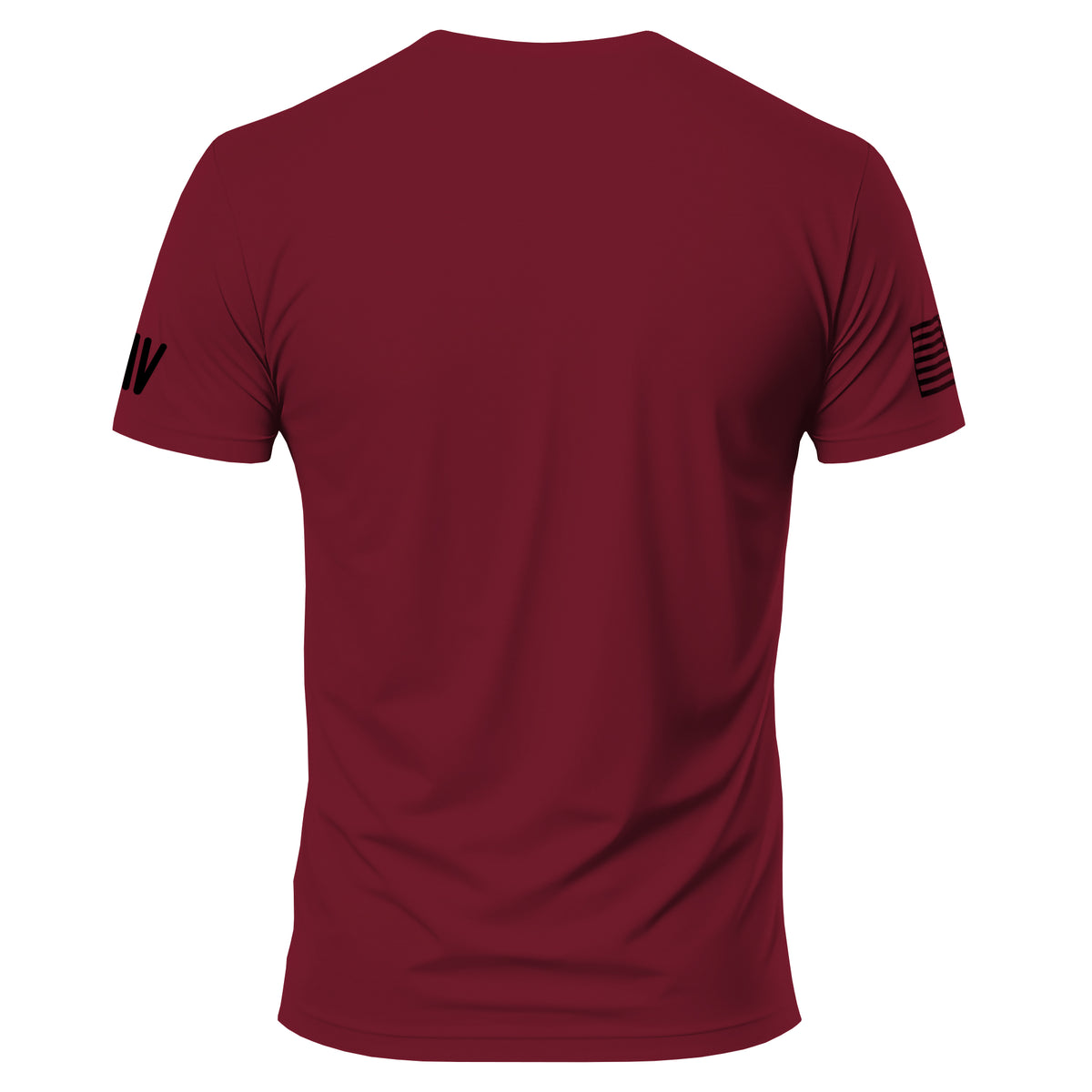 Spartan Molon Labe T-Shirt
