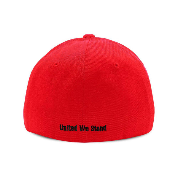 United We Stand Baseball Hat - Dion Wear